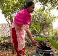 Eco-friendly farming project in Nepal