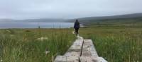 Boardwalks keep your feet dry and protect the vegetation | Chantel Keogh