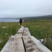 Boardwalks keep your feet dry and protect the vegetation | Chantel Keogh