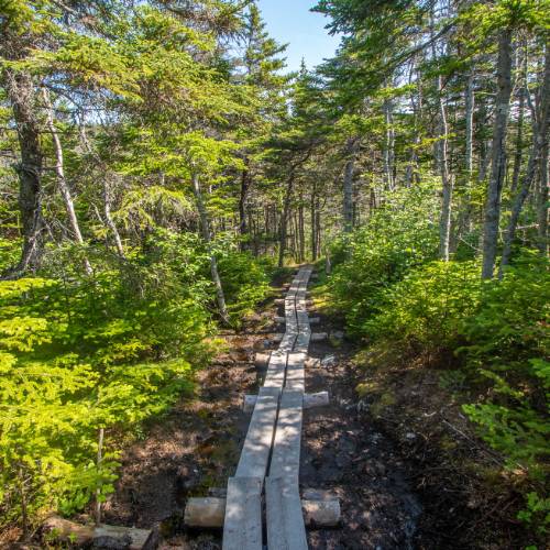 East Coast Trail | Avalon Peninsula | Trail Sections