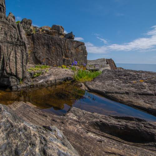 East Coast Trail | What to Expect on the Trail