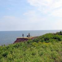 Enjoying the view from handlebar level on a scenic section | Nathalie Gauthier