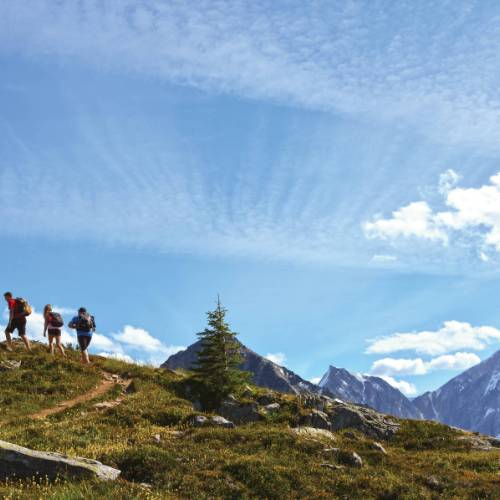 Guided Hiking, Backpacking Summer Camps in Canadian Rockies