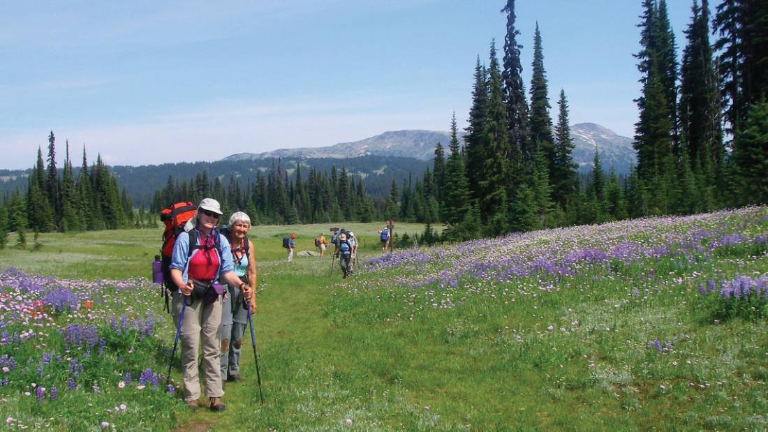 Hiking the Caribou Meadows of Wells Gray Park, BC