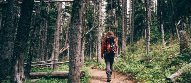 Lace-up your hiking boots, take a deep breath of forest air