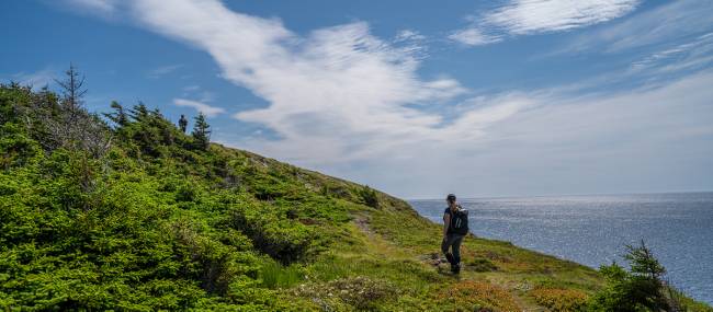 Hiking Newfoundland's Atlantic coast | Sherry Ott