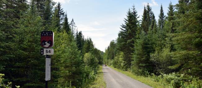 Quiet trail along le P'tit Train du Nord | Nathalie Gauthier