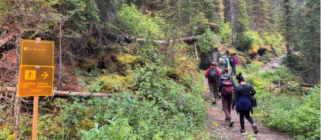 Our group of hikers enjoying nature in Yoho National Park | Kalaya Mckenzie